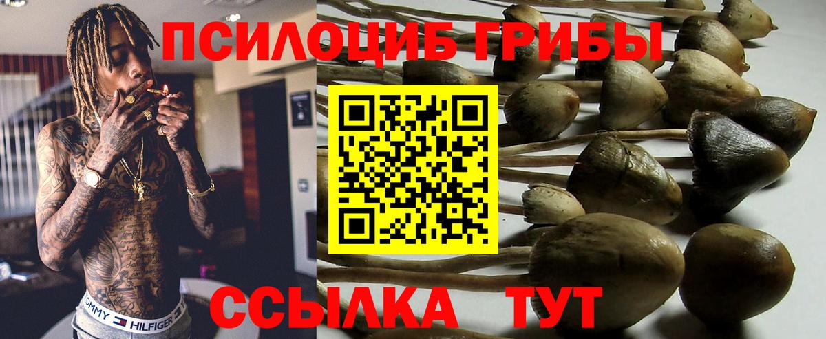 Псилоцибиновые грибы прущие грибы Благодарный