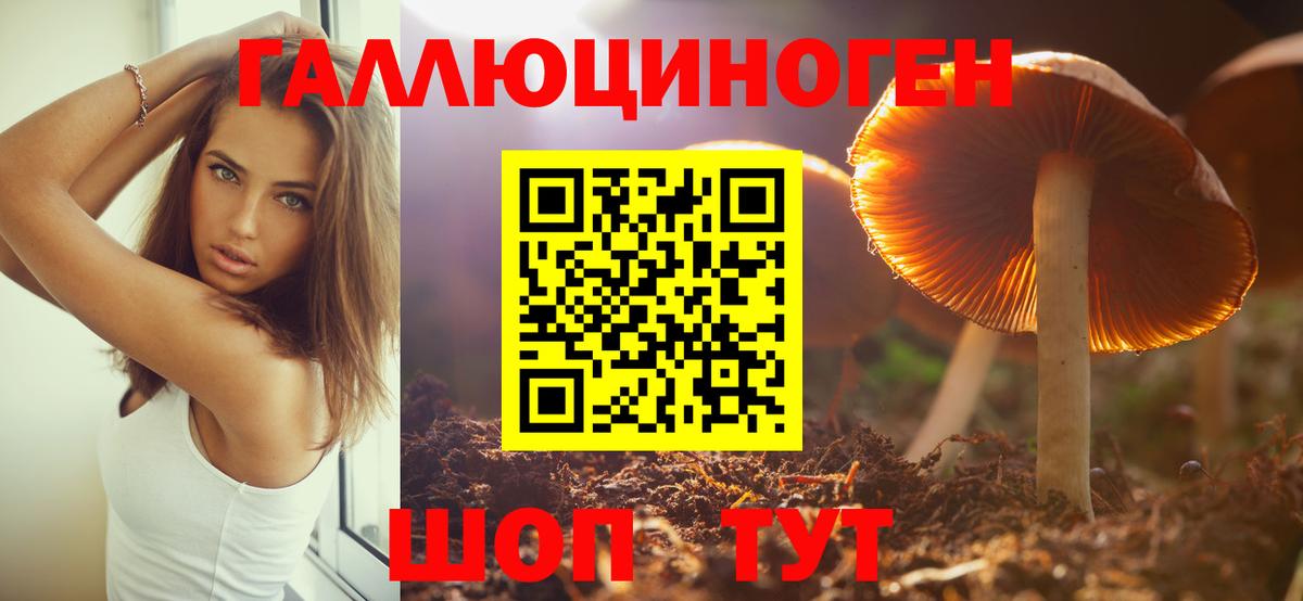 Благодарный  Галлюциногенные грибы Magic Shrooms  Вход с VPN 
