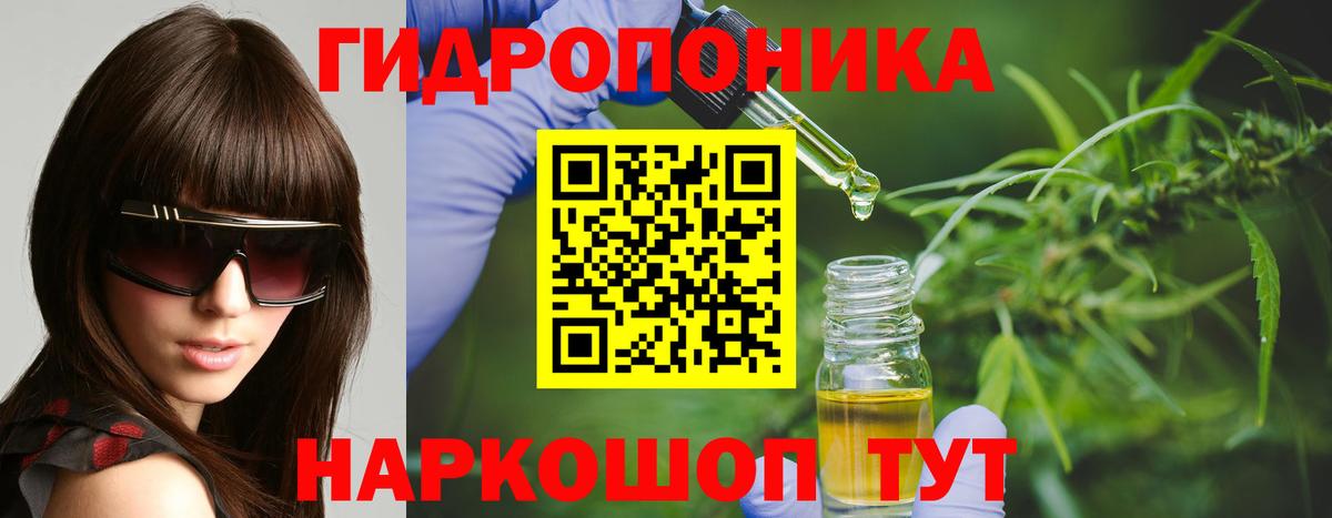 Шишки марихуана OG Kush  Шишки марихуана SATIVA & INDICA  Благодарный  Марихуана сатива  Вход с VPN 